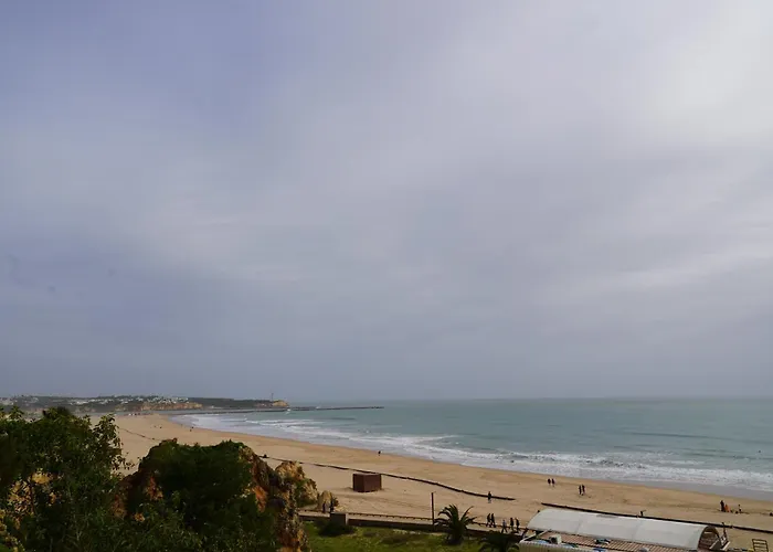 Rocha Sol 아파트 *